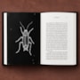 A Metamorfose de Franz Kafka - Livro Capa Dura - Edição Especial com Cartela de Adesivos