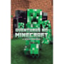 Aventuras no minecraft - Busca perigosa - livro 3