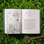 Box Histórias mágicas de Frances Hodgson Burnett - O jardim secreto + A princesinha - Acompanha pôster, marcadores e cards