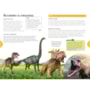 Dinosaurs