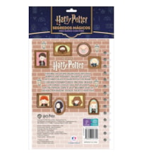 Harry Potter - Leia e colecione - Diário com Pins