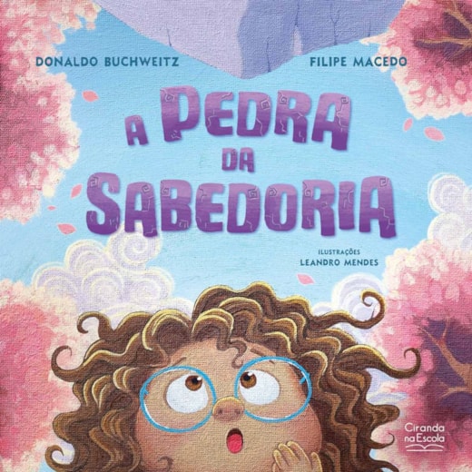 Livro A Pedra da Sabedoria