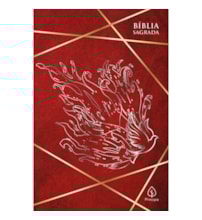 Livro Bíblia Bíblia sagrada - ACF - Cheios do Espírito Santo