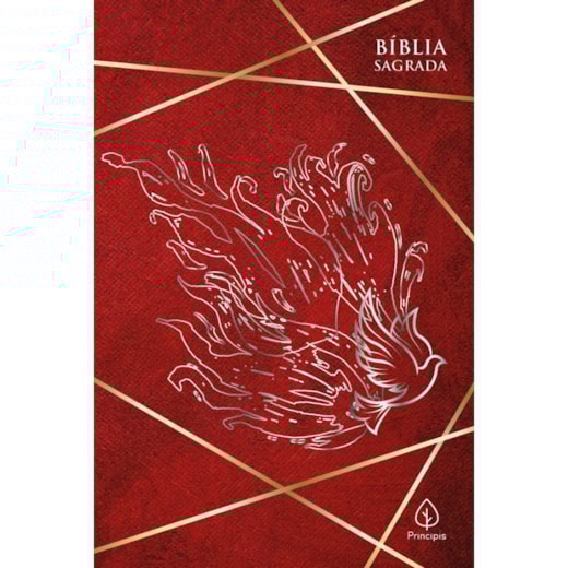 Livro Bíblia Bíblia sagrada - ACF - Cheios do Espírito Santo