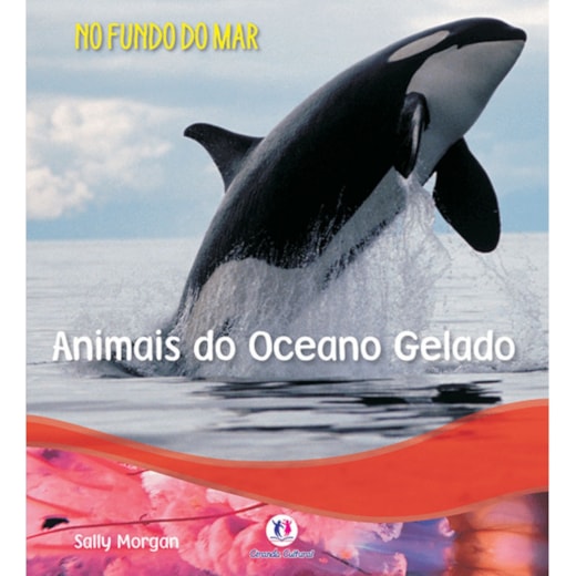 Livro Brochura Animais do oceano gelado