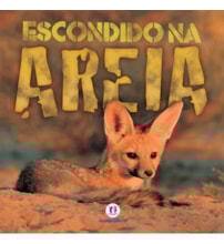 Livro Brochura Escondido na areia