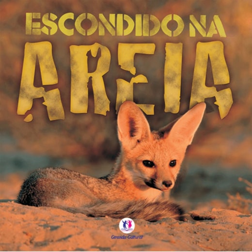 Livro Brochura Escondido na areia