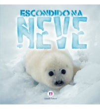 Livro Brochura Escondido na neve