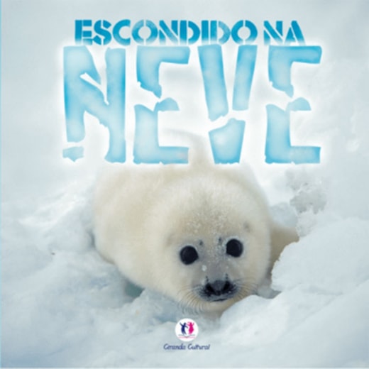 Livro Brochura Escondido na neve