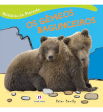 Livro Brochura Os gêmeos bagunceiros