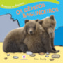 Livro Brochura Os gêmeos bagunceiros