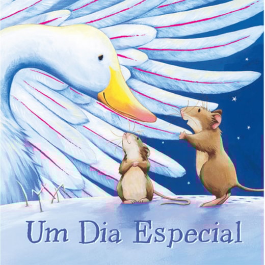 Livro Brochura The snow angel