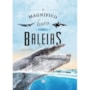 Livro Capa dura O magnífico livro das baleias