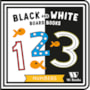 Livro Cartonado BLACK  WHITE BOARD BOOK - NUMBERS