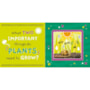 Livro Cartonado LIFT-THE-FLAP BOARD BOOK - NATURE