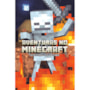 Livro Ciranda Jovem Aventuras no minecraft - Criaturas do Nether - livro 2