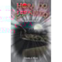 Livro Ciranda Jovem Hora do espanto - O espantalho