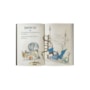 Livro Ciranda Jovem Huxley and Flapjack - Race to rescue