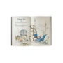 Livro Ciranda Jovem Huxley and Flapjack - Race To The Rescue