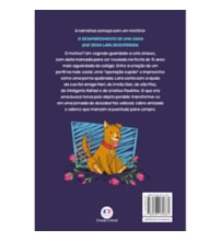 Livro Ciranda Jovem O segredo de Lara