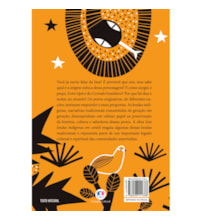 Livro Ciranda Jovem Sete lendas indígenas em cordel