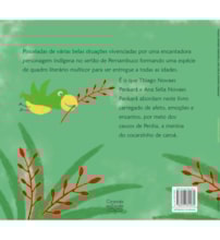 Livro Cocarzinho de caroá