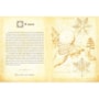 Livro Fábulas de Leonardo Da Vinci