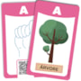Livro Flash cards Flash cards - Alfabeto e números em Libras - Com QR code para aprender os sinais