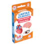 Livro Flash cards Flash Cards Cartas Bilíngues - Corpo humano - Human body