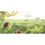Livro Flor de mureru