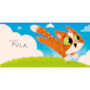 Livro Gato e rato