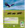 Livro Grampeado Animais Selvagens