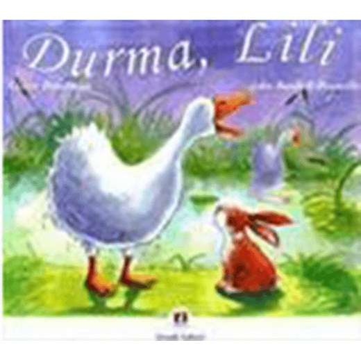 Livro Literatura infantil Durma, Lili