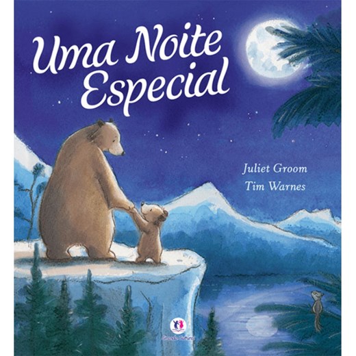 Livro Literatura infantil Uma noite especial