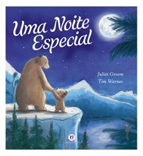 Livro Literatura infantil Uma noite especial