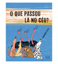 Livro O que passou lá no céu?