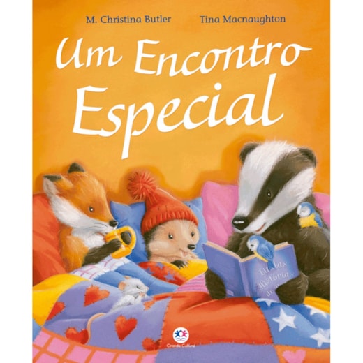 Livro One special sleepover