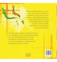Livro Os cinco sentidos do gato Romeu