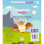 Livro Pop-up Conhecendo as aves