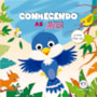 Livro Pop-up Conhecendo as aves