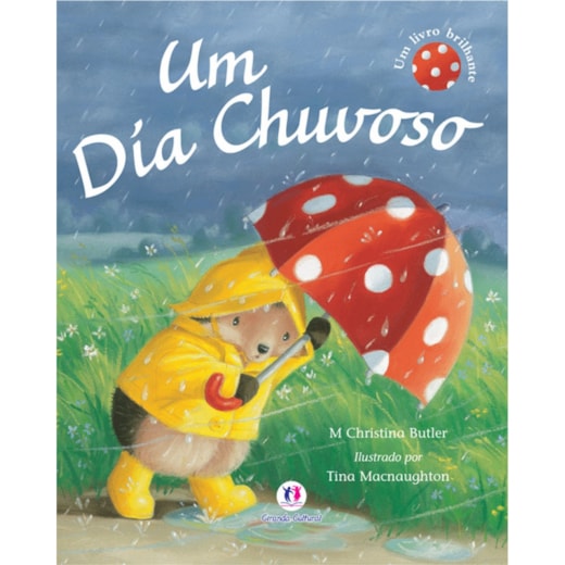 Livro Um dia chuvoso