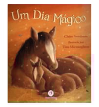Livro Um dia mágico