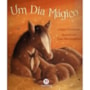 Livro Um dia mágico