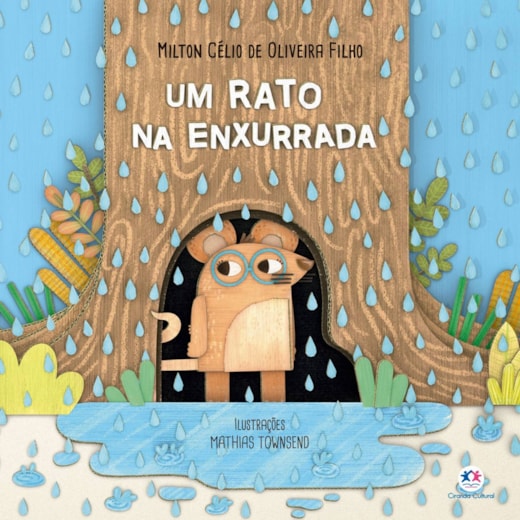 Livro Um rato na enxurrada