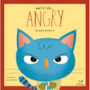 Livro What if I feel... angry