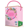 Princesas - Box com 12 minilivros