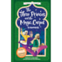 The three princes and the magic carpet