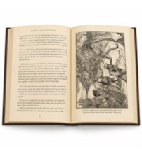 Treasure Island - Edição importada em inglês - Capa dura com relevo